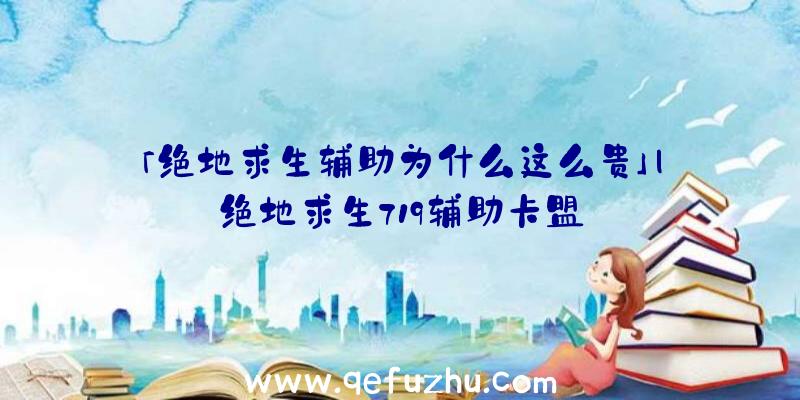 「绝地求生辅助为什么这么贵」|绝地求生719辅助卡盟